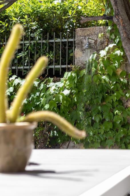 Apartamento Il Giardino Tra Cielo E Mare Porto Venere Exterior foto